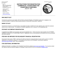 Form CT-5CF Annual Registration Form - Commercial Coventurer - California, Page 4