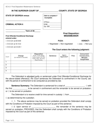 Form SC-6.3 Final Disposition Misdemeanor Sentence - Georgia (United States)