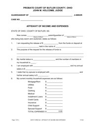 BCPC Form 523 Affidavit of Income and Expenses - Butler County, Ohio