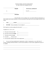 Document preview: Financial Affidavit - Belmont County, Ohio