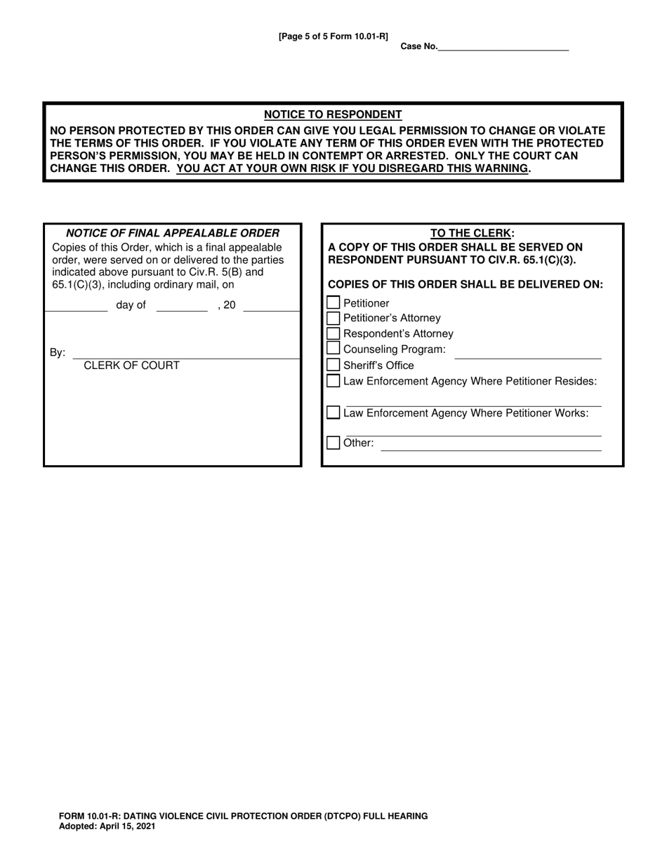 Form 10.01-R Dating Violence Civil Protection Order (Dtcpo) Full Hearing - Franklin County, Ohio, Page 5