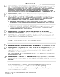 Form 10.01-Q Dating Violence Civil Protection Order (Dtcpo) Ex Parte - Franklin County, Ohio, Page 3