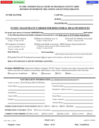 Document preview: Form J-407-1 (eJU0101) Entry/Magistrate's Order for Behavioral Health Services - Franklin County, Ohio