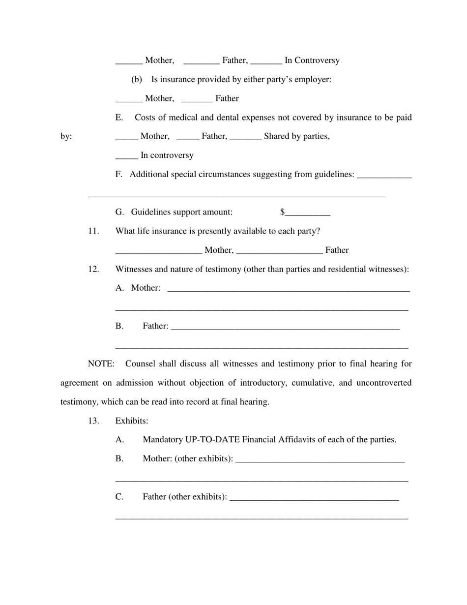 Pretrial Stipulation - Paternity Actions - Judge Wilkinson - Clay County, Florida, Page 3