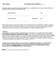 Municipal Prosecution Application for Theft (Shoplift) Complaint - City of Dallas, Texas, Page 2