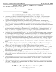 Document preview: Form CCCR0105 Consent to Participate Veterans Court Program - Cook County, Illinois