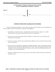 Form CCP0008 Instructions for Guardians of Minors - Annual Report - Cook County, Illinois