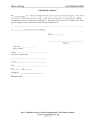 Form CCG0613 Notice of Filing - Cook County, Illinois, Page 2