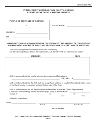 Document preview: Form CCG N516 Order - Source of Bail Commitment (Criminal) - Cook County, Illinois
