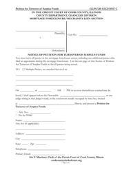 Form CCCH0317 Petition for Turnover of Surplus Funds - Cook County, Illinois, Page 3