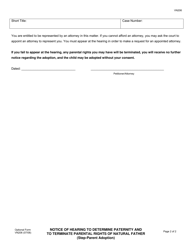 Form VN206 &quot;Notice of Hearing to Determine Paternity and to Terminate Parental Rights of Natural Father (Step-Parent Adoption)&quot; - County of Ventura, California, Page 2