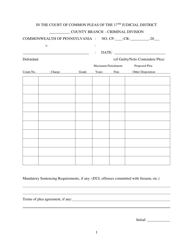 Document preview: Guilty Plea Colloquy Form - Snyder County, Pennsylvania