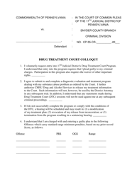 Document preview: Drug Treatment Court Colloquy - Snyder County, Pennsylvania