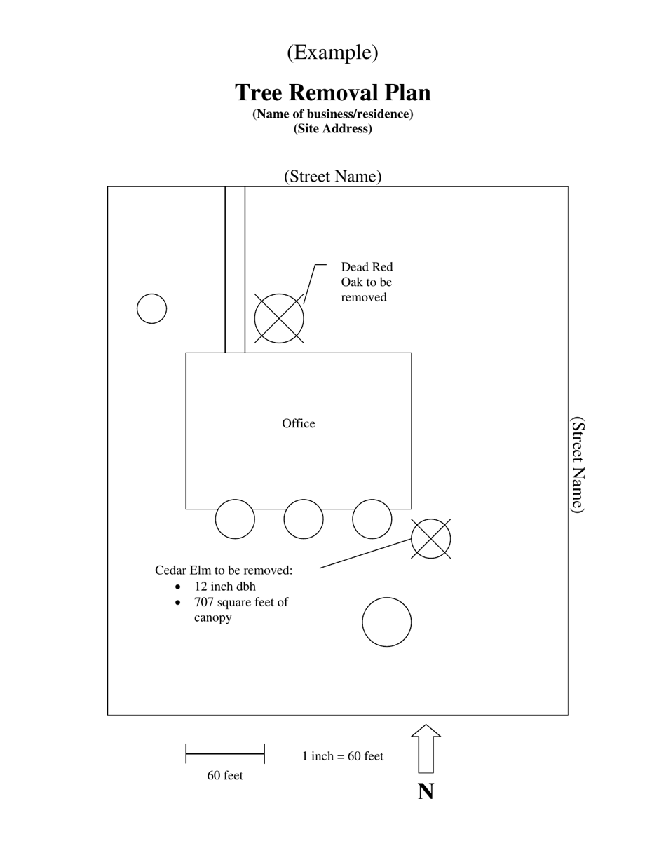Tree Removal Application - City of Fort Worth, Texas, Page 4