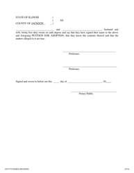 Petition for Adoption - Adopting From Married Parents - Jackson County, Illinois, Page 3