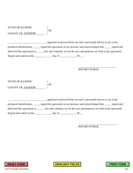 Allocation of Parental Responsibilities Judgment - Jackson County, Illinois, Page 3