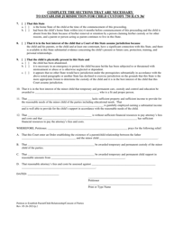 Petition to Establish Parent and Child Relationship by Consent of the Parties - DeKalb County, Illinois, Page 2
