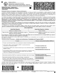 Formulario IL444-2378BS Solicitud Para Asistencia Economica - Asistencia Medica - Asistencia Para Nutricion Suplementaria (Snap) - Illinois (Spanish), Page 15