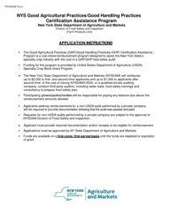 Form FSI-603 &quot;Gap Certification Assistance Program Application Form&quot; - New York