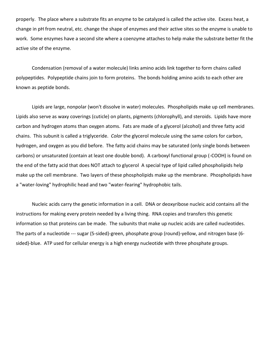 Macromolecule Reading Worksheet, Page 2