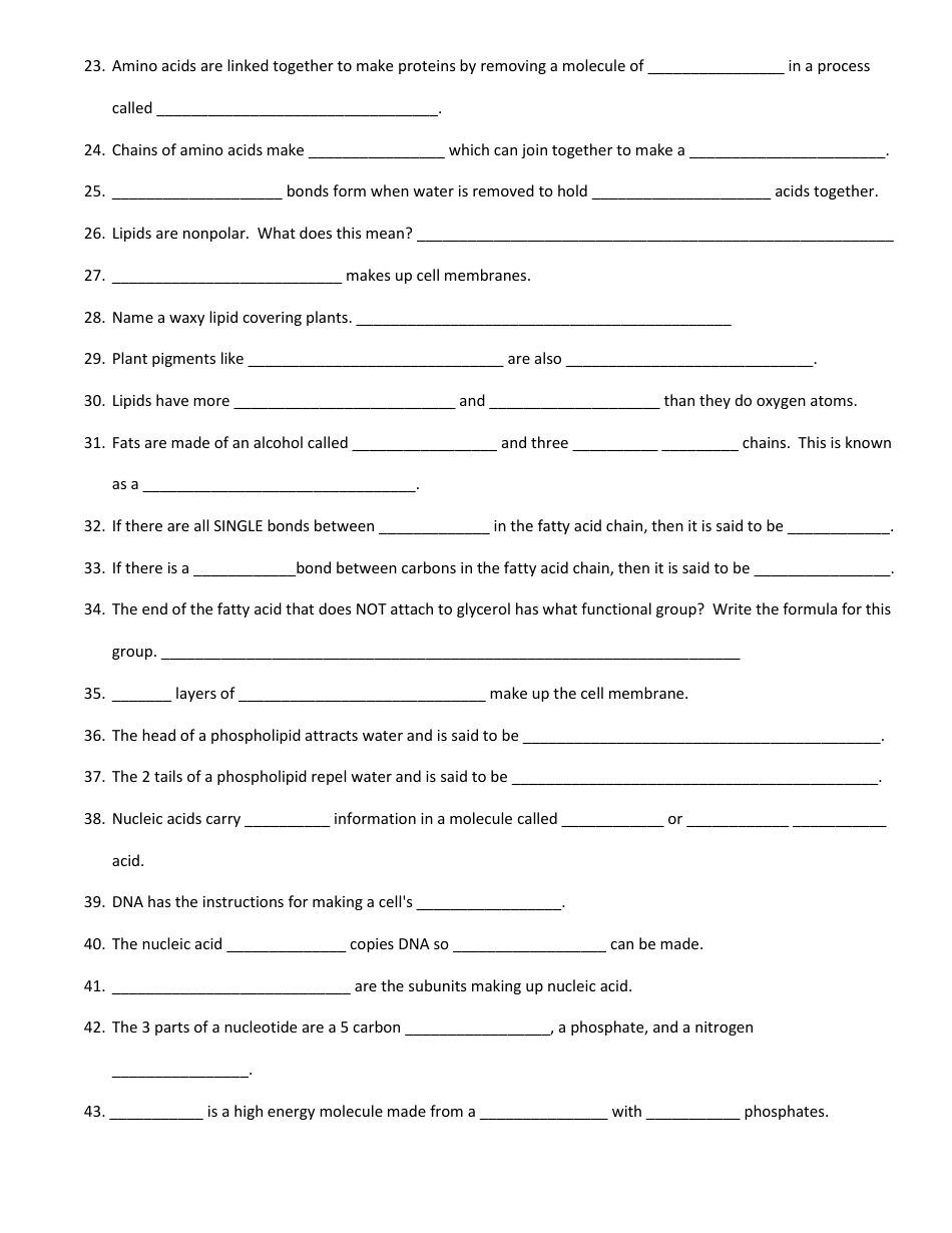 Macromolecule Reading Worksheet, Page 4