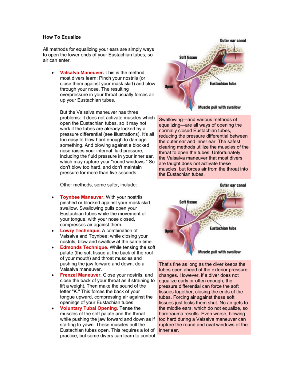 The Divers Complete Guide to the Ear - John Francis, Trevor Johnston, Page 3