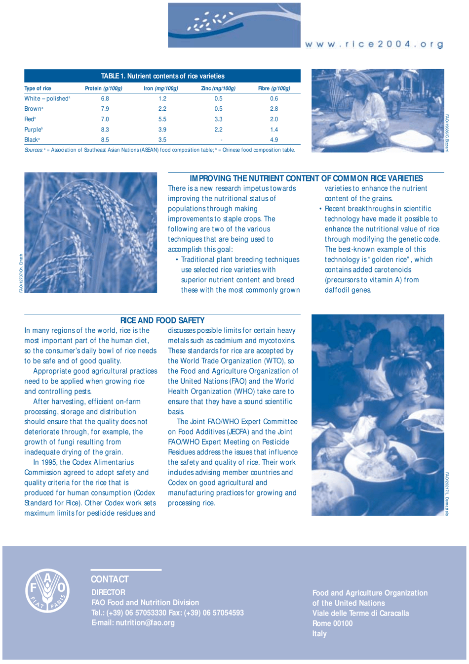Rice and Human Nutrition - Food and Agriculture Organization of the United Nations, Page 2
