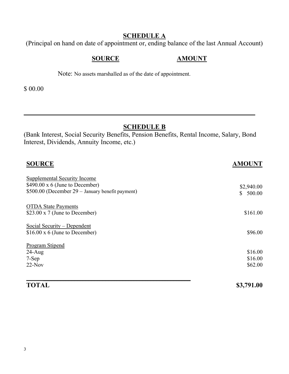 Sample Annual Report - New York, Page 3