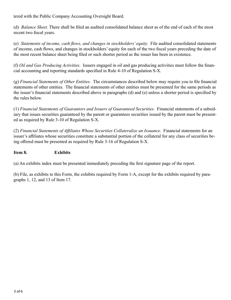 Form 1-K (SEC Form 2913) Annual Reports and Special Financial Reports, Page 5