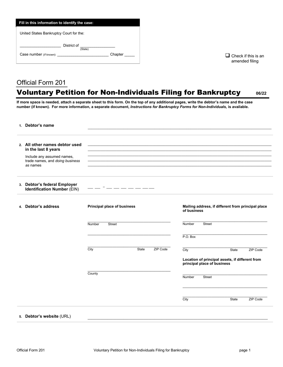 Official Form 201 Download Printable PDF or Fill Online Voluntary ...