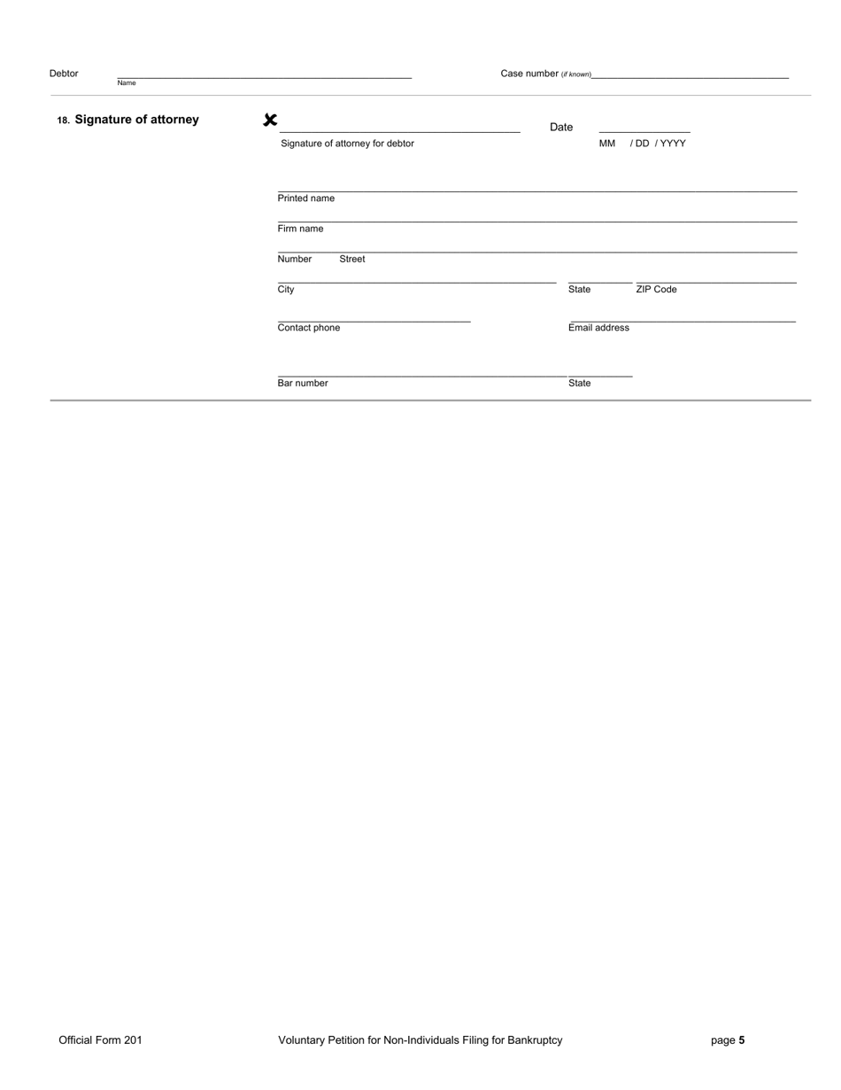 Official Form 201 Download Printable PDF Or Fill Online Voluntary ...