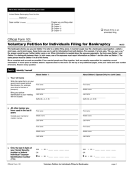 Official Form 101 Voluntary Petition for Individuals Filing for Bankruptcy