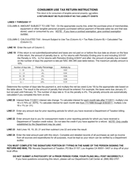 Form TXR-02.01C Consumer Use Tax Return - Nevada, Page 2