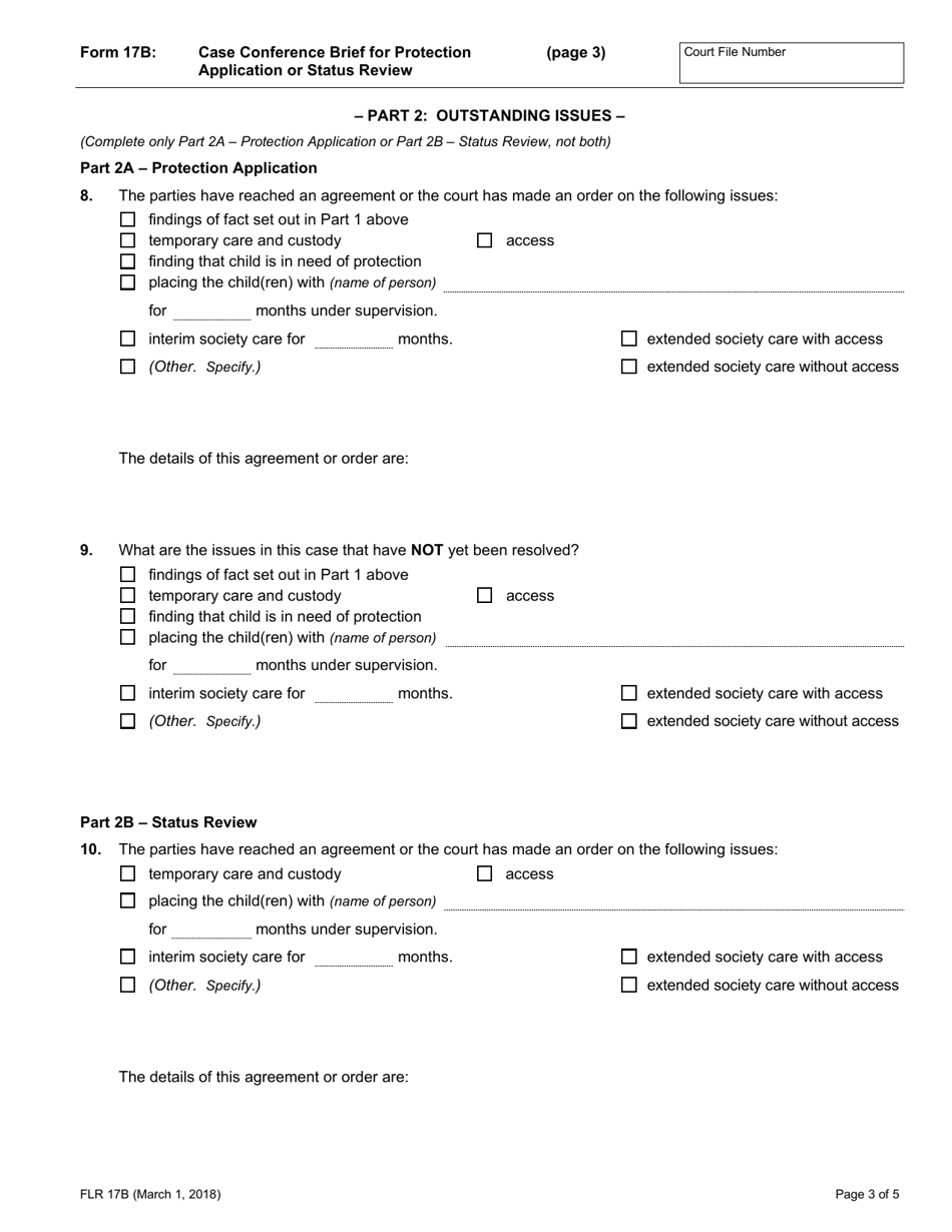Form 17B Case Conference Brief for Protection Application or Status Review - Ontario, Canada, Page 3