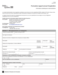 Form F-0099 Formulaire Rapport Annuel Cooperative - Quebec, Canada