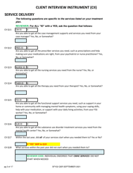 Client Interview Instrument (Cii) - New Hampshire, Page 3