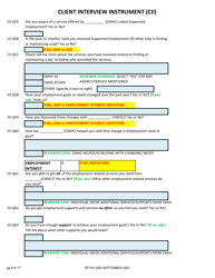 Client Interview Instrument (Cii) - New Hampshire, Page 9