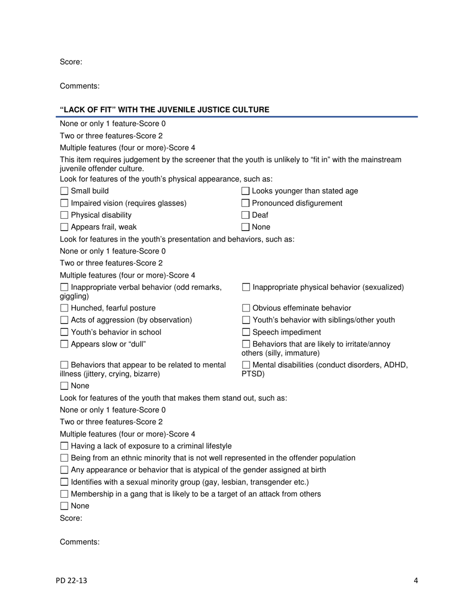 Form 2197 Prea Vulnerability Assessment Instrument - Risk of Victimization and / or Sexually Aggressive Behavior / Overall Risk - New Hampshire, Page 4