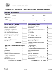 Form 1728 Pre-adoptive and Foster Family Care License Financial Statement - New Hampshire