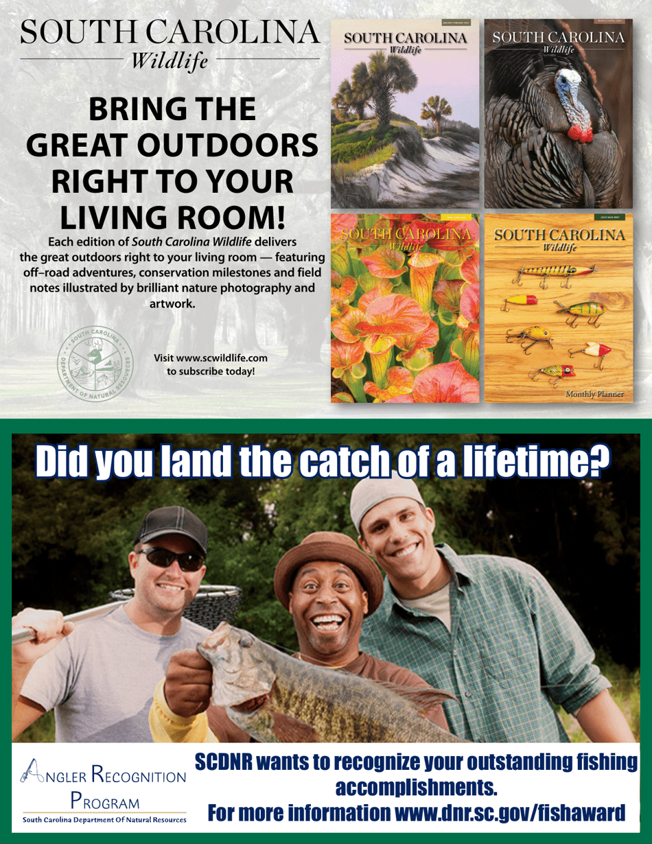 Form 22-13227 S.c. Resident License Order Form - South Carolina, Page 2