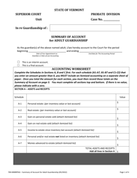 Form 700-00089PAG Summary of Account for Adult Guardianship - Vermont