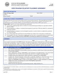 Form 1987 Voluntary Placement Agreement - Hope Program - New Hampshire