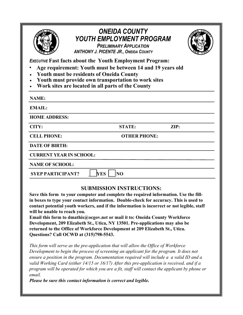 Preliminary Application - Youth Employment Program - Oneida County, New York, Page 1