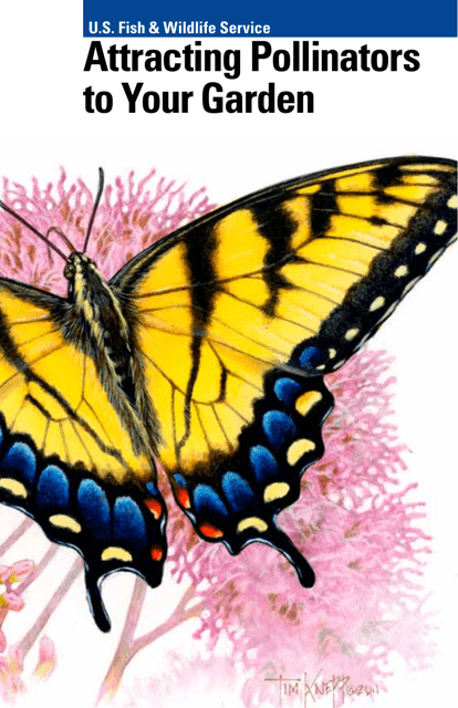 Attracting Pollinators to Your Garden Download Pdf
