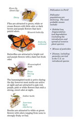 Attracting Pollinators to Your Garden, Page 5