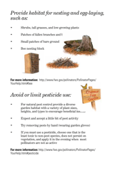 Attracting Pollinators to Your Garden, Page 7