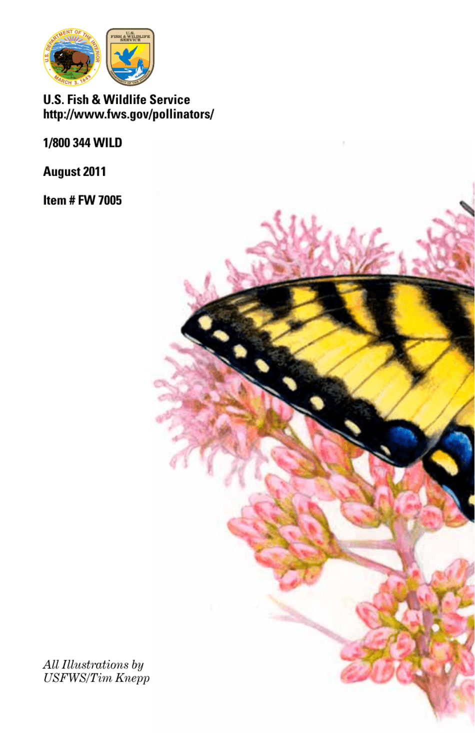 Attracting Pollinators to Your Garden, Page 8