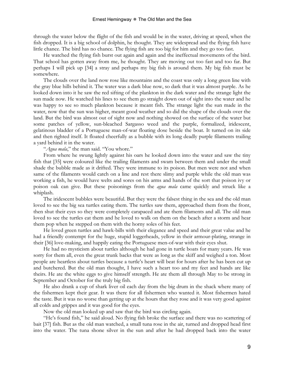 The Old Man and the Sea - Ernest Hemingway, Page 9