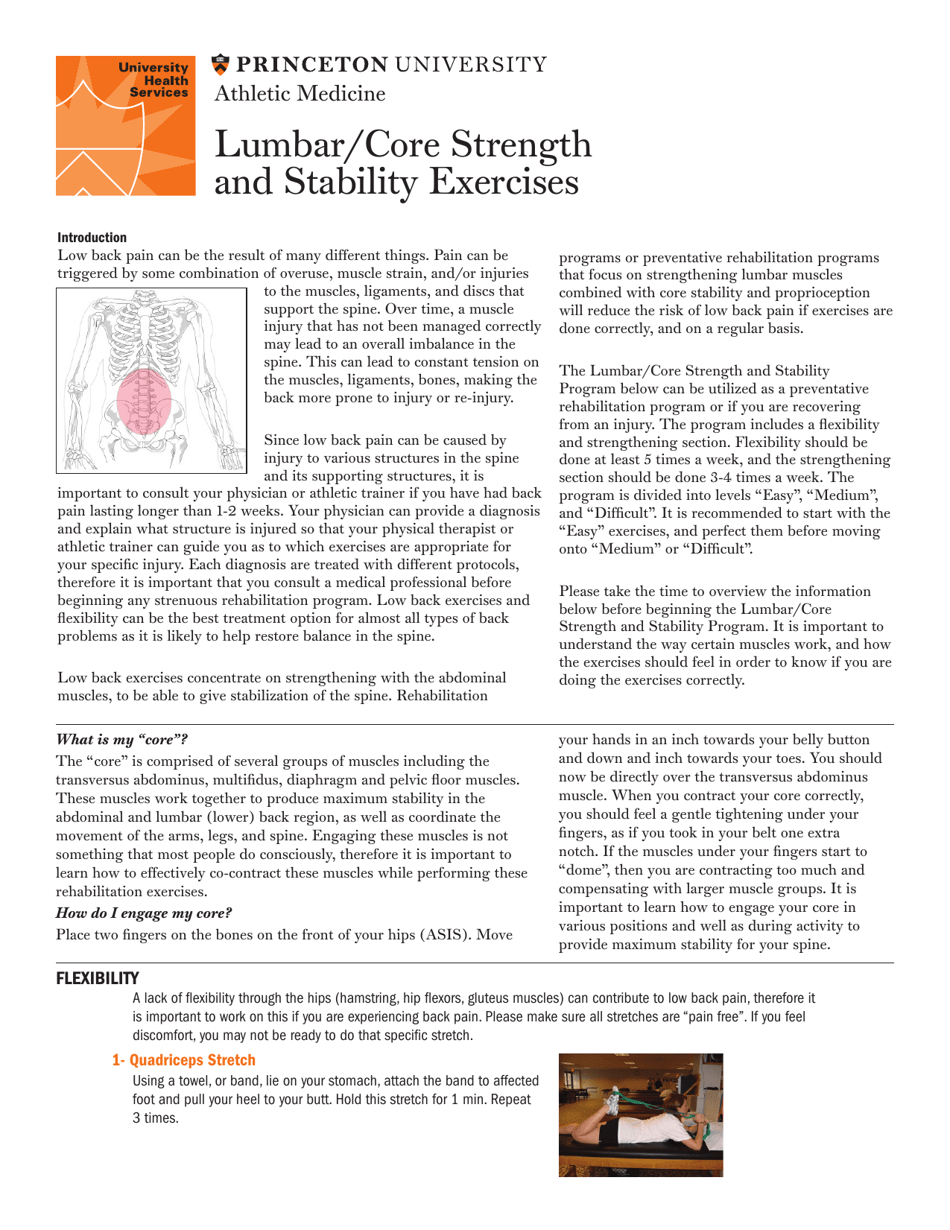 Lumbar/Core Strength and Stability Exercises Download Printable PDF