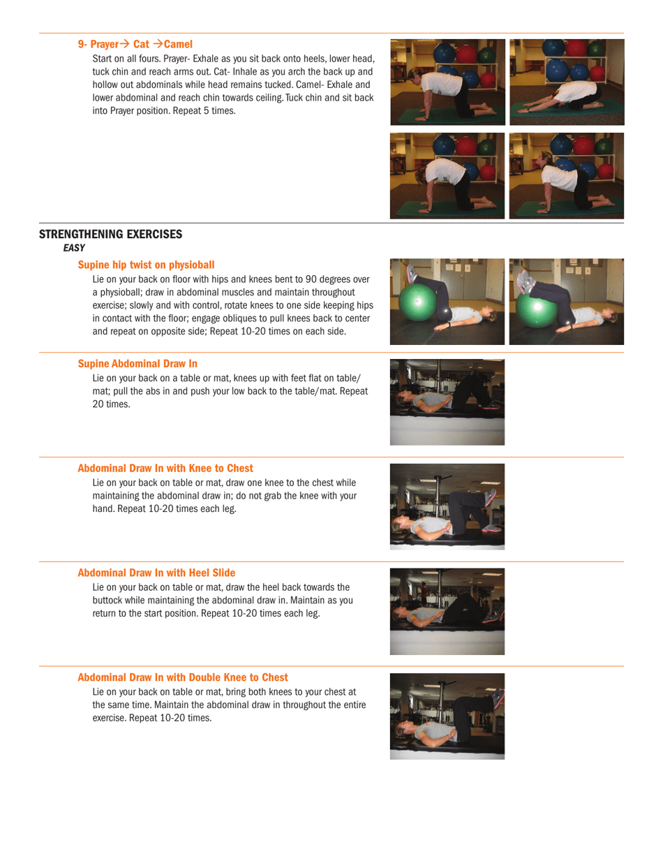 Lumbar/Core Strength and Stability Exercises Download Printable PDF